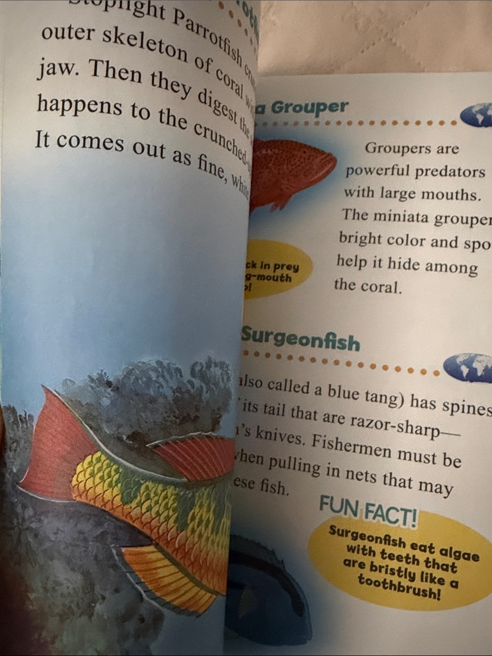 Incredible Sea Creatures Video Fact Book - Colorful Ocean Cover - Picture 5 of 5